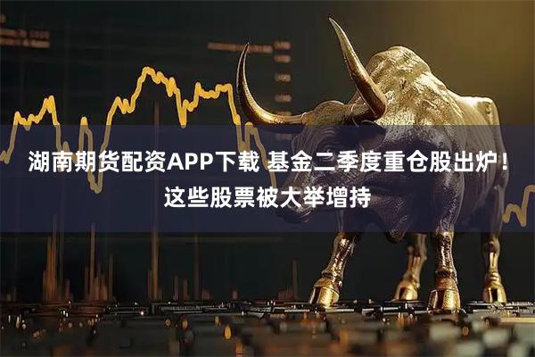 湖南期货配资APP下载 基金二季度重仓股出炉！这些股票被大举增持