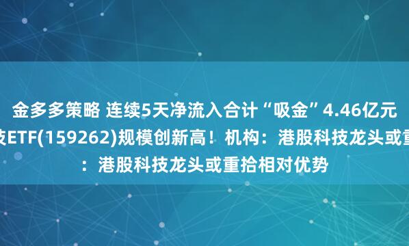 金多多策略 连续5天净流入合计“吸金”4.46亿元，港股通科技ETF(159262)规模创新高！机构：港股科技龙头或重拾相对优势